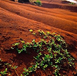 《异形工厂2》Steam页面上线 支持中文发售日期待定